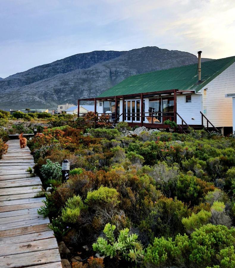 Brandys Beach House Bettyʼs Bay エクステリア 写真